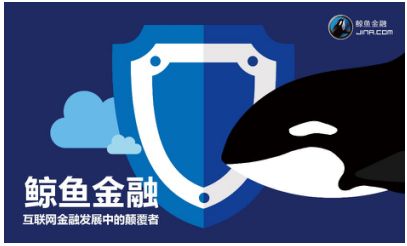 创新发展更拥抱监管,鲸鱼稳健合规加速度 创新发展更拥抱监管,鲸鱼稳健合规加速度